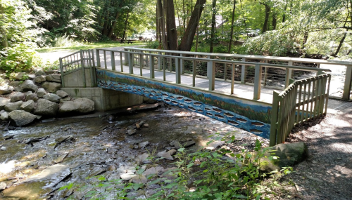 A wooden bridge over a stream, featuring a painted fish mural on the side, surrounded by lush greenery.