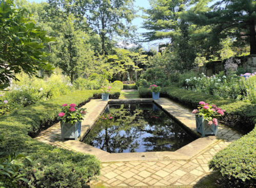 A serene garden with a reflecting pool, surrounded by lush greenery and flower planters on either side.