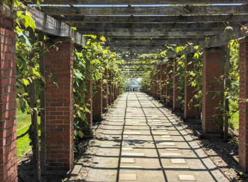 A sunlit pathway lined with brick columns and greenery, leading through a serene garden.