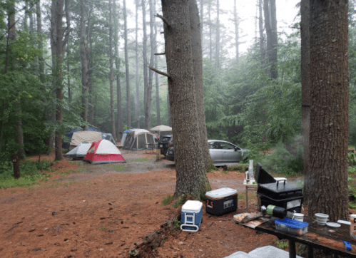 A misty campsite in a forest with several tents, a car, and a cooking area on a pine needle-covered ground.
