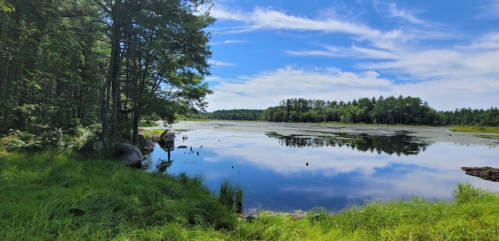 A serene lake surrounded by lush greenery and trees under a bright blue sky with scattered clouds.