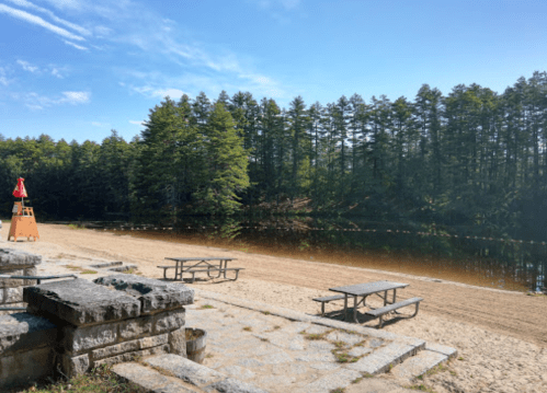 A serene lakeside scene with picnic tables, a sandy beach, and trees reflecting in the calm water under a clear sky.
