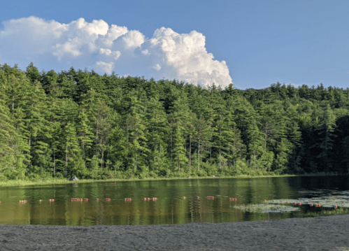 A serene lake surrounded by lush green trees under a clear blue sky with fluffy white clouds.