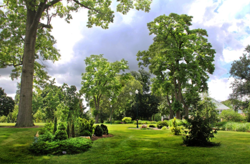 Lush green garden with tall trees, shrubs, and a cloudy sky in the background.