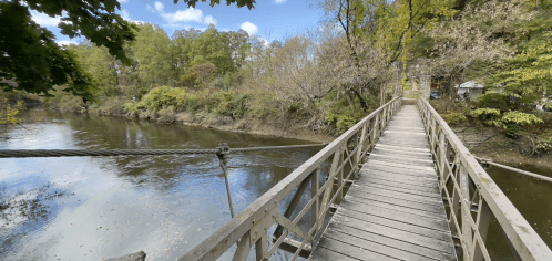 A wooden footbridge spans a calm river, surrounded by trees and a clear blue sky.