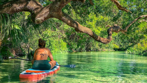 A person sits on a paddleboard in a serene, green river surrounded by lush trees and clear water.
