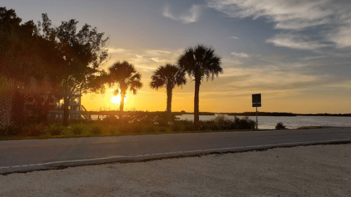 Sunset over a calm waterway, framed by palm trees and a sandy road, with a peaceful sky in the background.