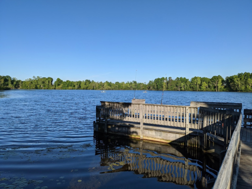 A serene lake view from a wooden dock, surrounded by lush greenery under a clear blue sky.