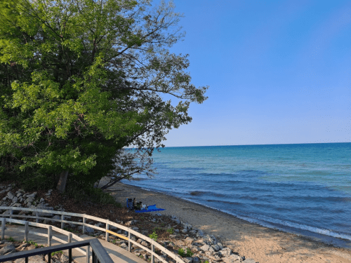 A serene beach scene with gentle waves, a sandy shore, and lush green trees under a clear blue sky.