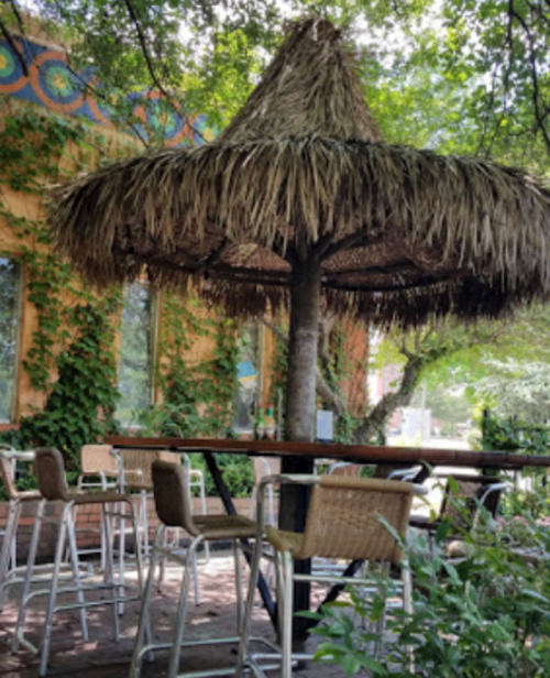 A shaded outdoor seating area with a thatched umbrella and bar stools surrounded by greenery.