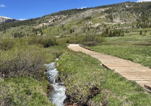 A wooden path winds through a lush green landscape with a stream flowing alongside it, surrounded by hills and trees.