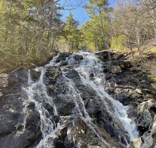 A cascading waterfall flows over rocky terrain, surrounded by trees under a clear blue sky.