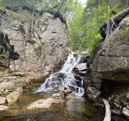 A serene waterfall cascades over rocky terrain, surrounded by lush green trees and a tranquil stream below.