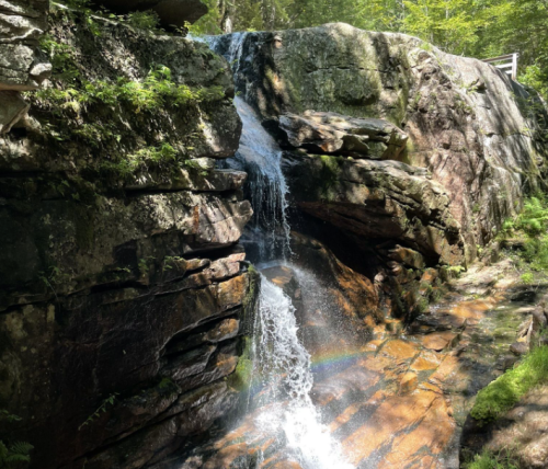 A serene waterfall cascading over rocky terrain, surrounded by lush green foliage in a forested area.