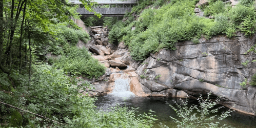 A serene rocky landscape with a small waterfall and lush greenery, beneath a wooden bridge.