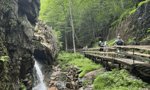 Hikers on a wooden path beside a rocky gorge and waterfall, surrounded by lush green trees.