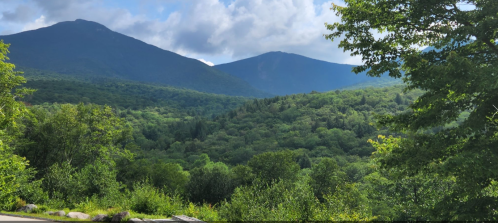 Lush green mountains under a partly cloudy sky, with dense trees in the foreground and peaks in the background.