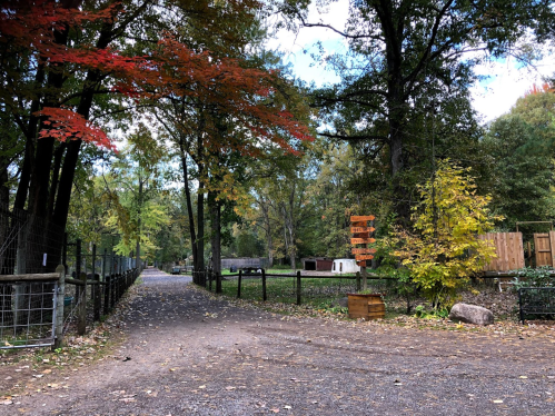 A gravel path leads through a wooded area with colorful autumn leaves and a wooden signpost.