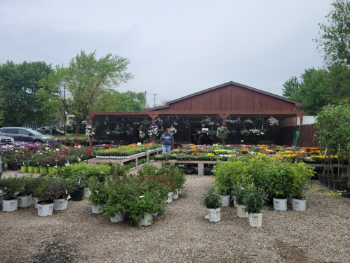 A flower shop with colorful plants and hanging baskets, surrounded by greenery and gravel pathways.
