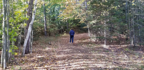 A person walking along a wooded path surrounded by trees and autumn foliage.