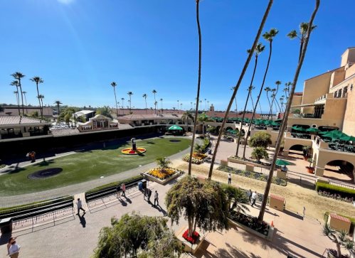 A sunny day at a racetrack with palm trees, green turf, and people walking around the venue.