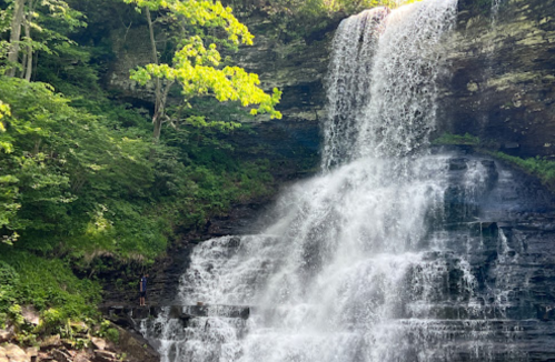 A cascading waterfall surrounded by lush green trees and rocky terrain, with a person standing at the base.