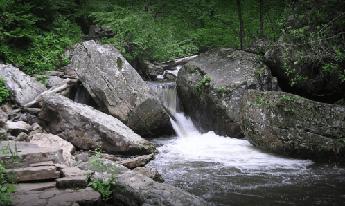 A serene stream flows between large rocks, surrounded by lush green trees in a peaceful natural setting.
