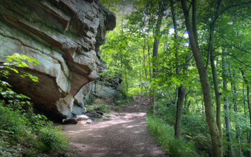 A winding dirt path through a lush green forest, flanked by a rocky cliff on one side.