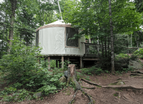 A yurt on stilts surrounded by trees and greenery in a forested area.