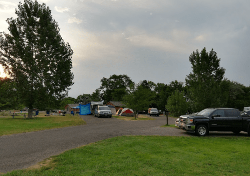 A campsite with tents and parked vehicles, surrounded by trees under a cloudy sky.