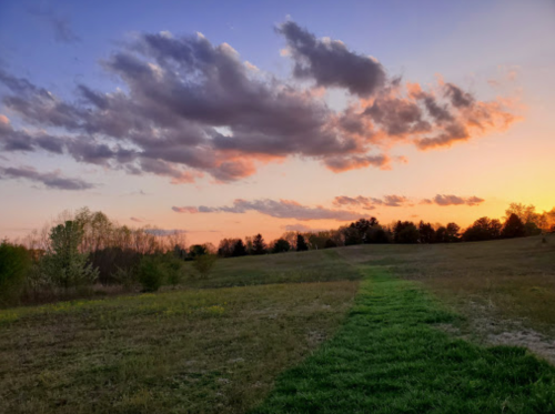 A serene landscape at sunset, featuring a grassy path leading through a field under a colorful sky with clouds.