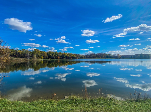 A serene lake reflecting a blue sky with fluffy clouds, surrounded by trees in autumn colors.