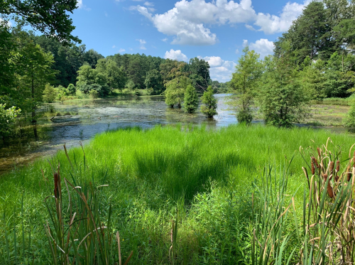 Lush green grass and trees surround a calm lake under a blue sky with fluffy clouds. A small boat is visible on the water.