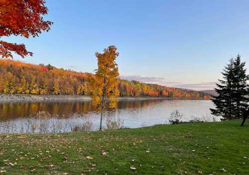 A serene river scene surrounded by vibrant autumn foliage and a clear sky, with a grassy area in the foreground.