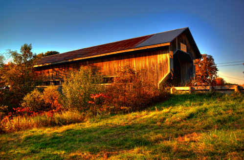 A rustic wooden barn surrounded by colorful autumn foliage under a clear blue sky.