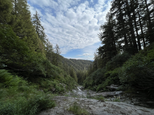 A serene landscape featuring a rocky riverbed surrounded by lush greenery and tall trees under a cloudy sky.
