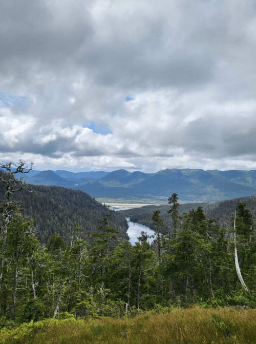 A scenic view of a river winding through a lush forested valley, surrounded by mountains under a cloudy sky.