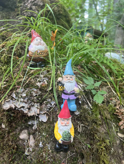 Three colorful garden gnomes among green grass and moss, with one holding a lantern and another a small plant.