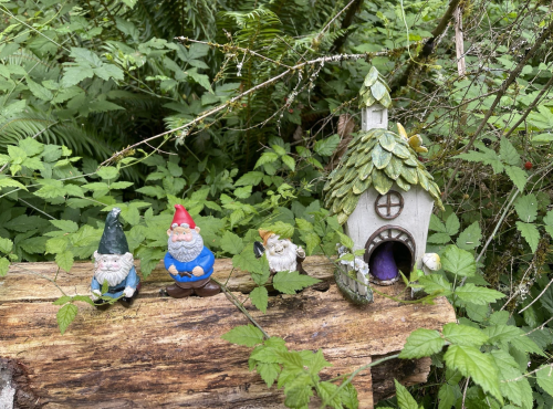 A whimsical scene featuring four garden gnomes and a small house, surrounded by lush green foliage.