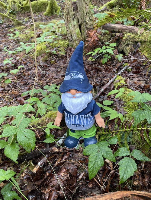 A gnome wearing a Seahawks shirt and hat stands among green foliage in a forested area.