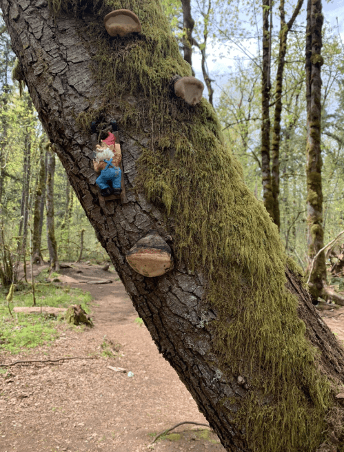 A moss-covered tree trunk in a forest, featuring small figurines and mushrooms along its surface.