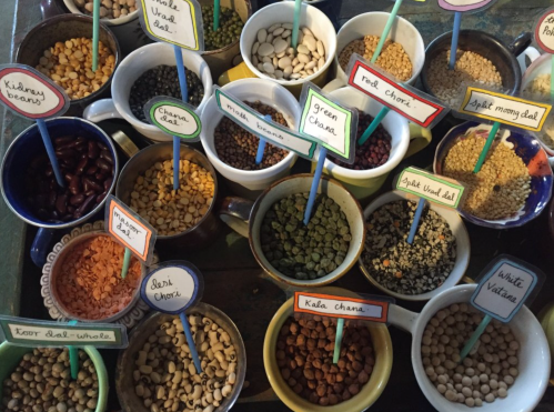 A colorful display of various dried legumes and spices in bowls, each labeled with names on small sticks.