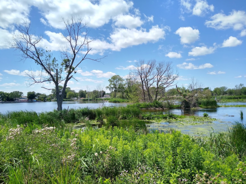 A serene landscape featuring a calm lake, lush greenery, and a clear blue sky with scattered clouds.