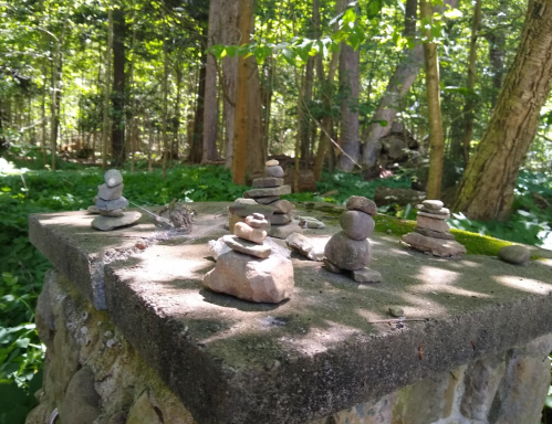 A stone arrangement on a concrete surface in a lush green forest, surrounded by trees and foliage.
