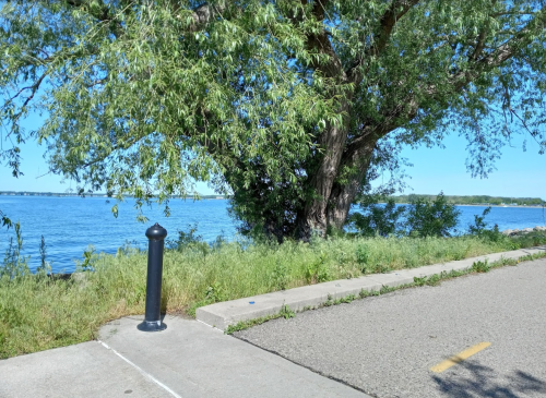 A serene lakeside view featuring a large tree, green grass, and a paved path along the water's edge.