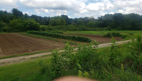 A scenic view of cultivated fields and lush greenery under a partly cloudy sky.