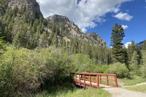 A red wooden bridge crosses a path surrounded by lush greenery and mountains under a blue sky with clouds.