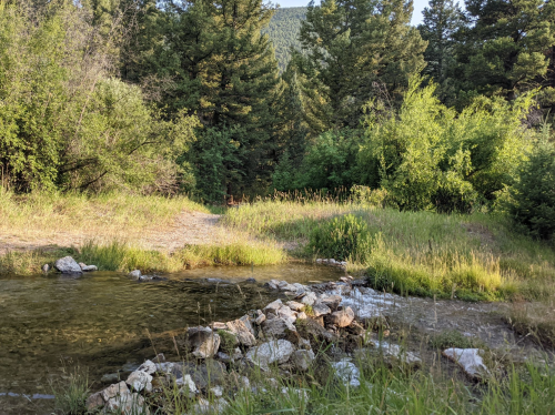 A serene landscape featuring a clear stream, grassy banks, and lush trees under a sunny sky.