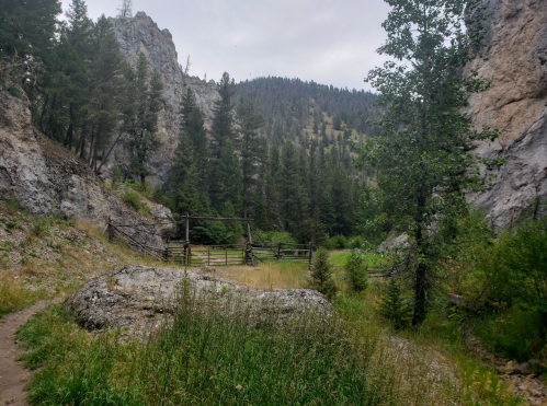 A serene landscape featuring rocky cliffs, tall trees, and a grassy area with a wooden fence in a mountainous setting.