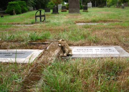 A small stuffed animal sits on a grave in a grassy cemetery, surrounded by tombstones and overgrown grass.